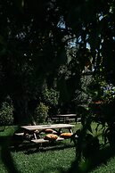 Casa Lata - Wine & Tourism