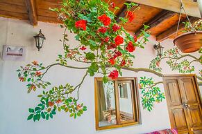 Tucan Hostel
