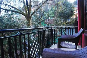 Hotel Misty Woods