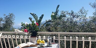 Casa Athena