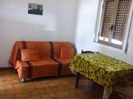Viola Club Village