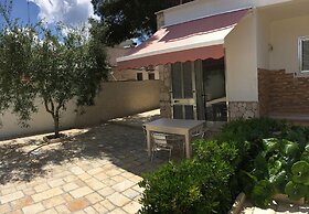 La Palude del Conte