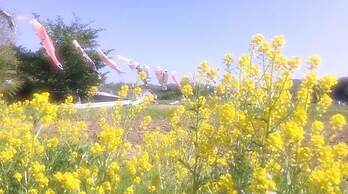 Pension Wildflowers