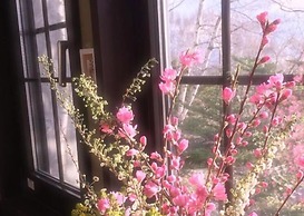 Pension Wildflowers