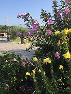 La Fontanella