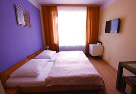 Hotel Bor