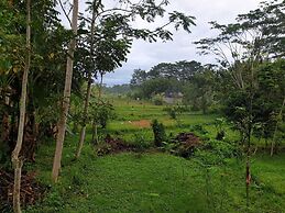 Dedeane Ubud