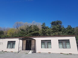 Cozy Hotel Kazbegi