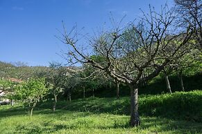 Il Tintore