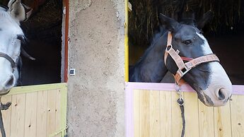 Ferme By Ikalimo