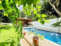 Palmare House