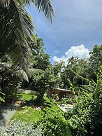 Palmare House