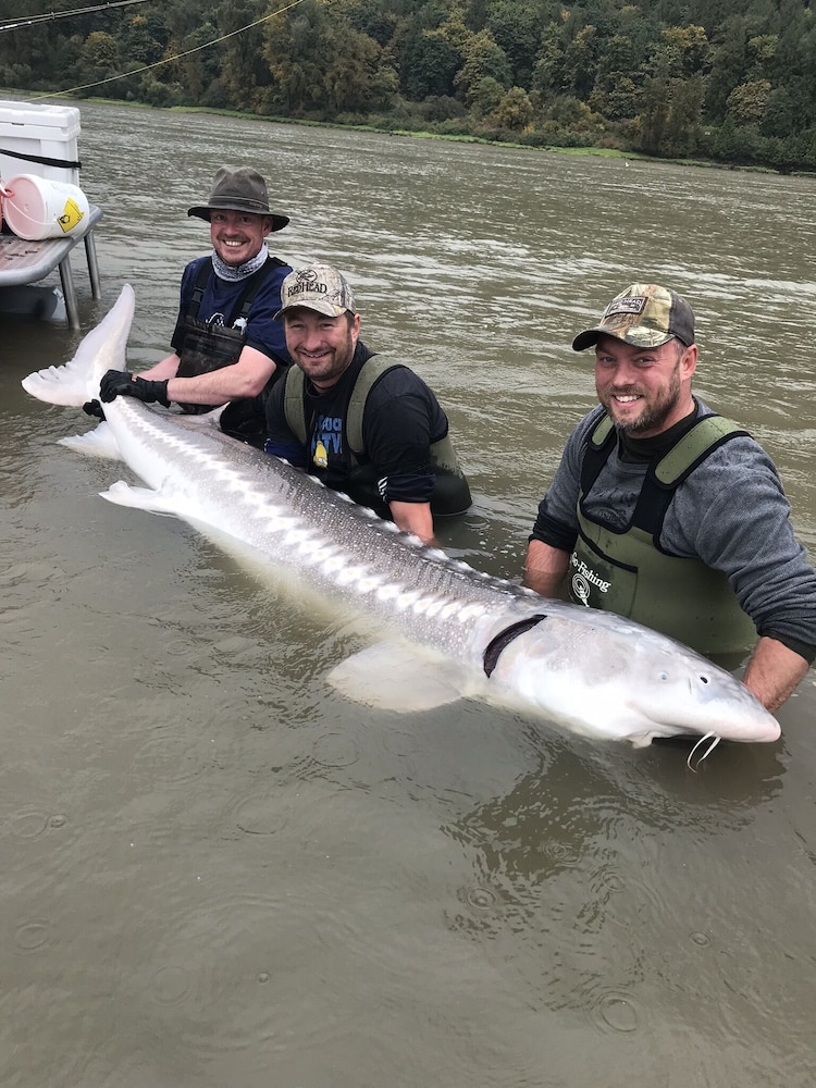 The Fraser River's Edge B&B Lodge