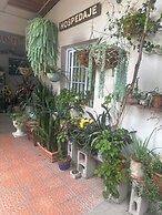 Patio De Joan