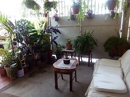 Patio De Joan