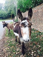 The New Forest Inn