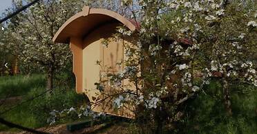 Schaeferwagenhotel-Campsite