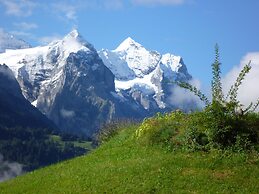 Pension Chalet Berkana
