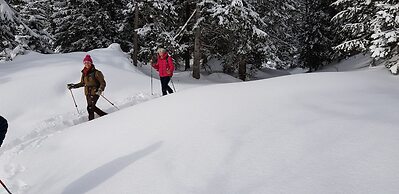 Pension Chalet Berkana