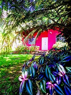 Pink house