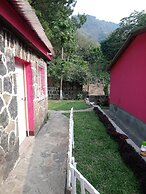 Pink house