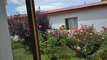 Hotel Upsala