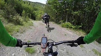 Campeggio Parco dei Castagni srl
