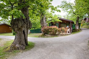 Campeggio Parco dei Castagni srl