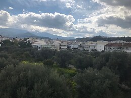 Best House Nirvana Patra