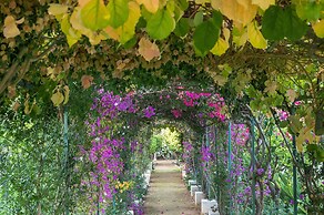 Il Giardino Ritrovato