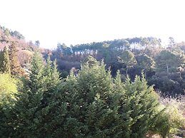 Les Chataigniers