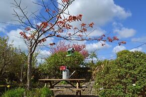 Wild Honey Inn