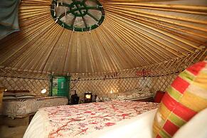 Hapus Yurt - Two Beautiful Yurts and Barn Cottage