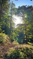 Hapus Yurt - Two Beautiful Yurts and Barn Cottage