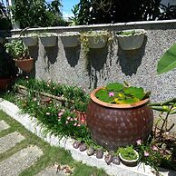Vineyard Guest House