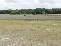 Seth Dev Lagoon Chalets Kalpitiya