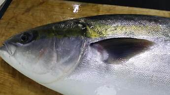 Nanauraso