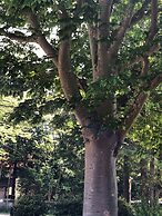 Hakone Kuoritei