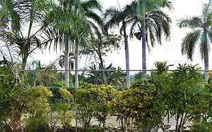Tropical Casa Laguna