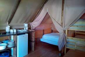 Amazone