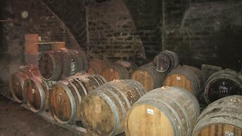 Chambres d'Hôtes La ferme de montard