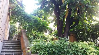Tilia