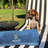 A Villa San Juan Bed & Breakfast