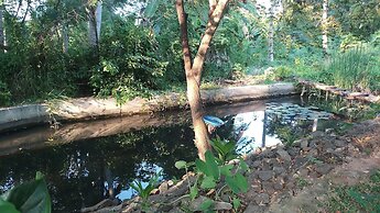 Ruwinsons Canal Garden