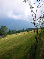 Bokelai B&B
