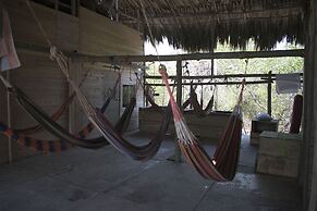 The Pacho Lay