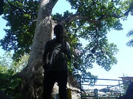 Pyeaca Guesthouse