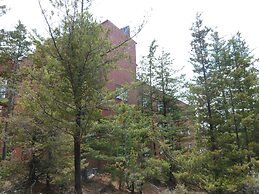 Hotel Gold