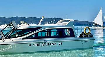 The Auhana