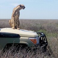 Nyikani Camp- Central Serengeti